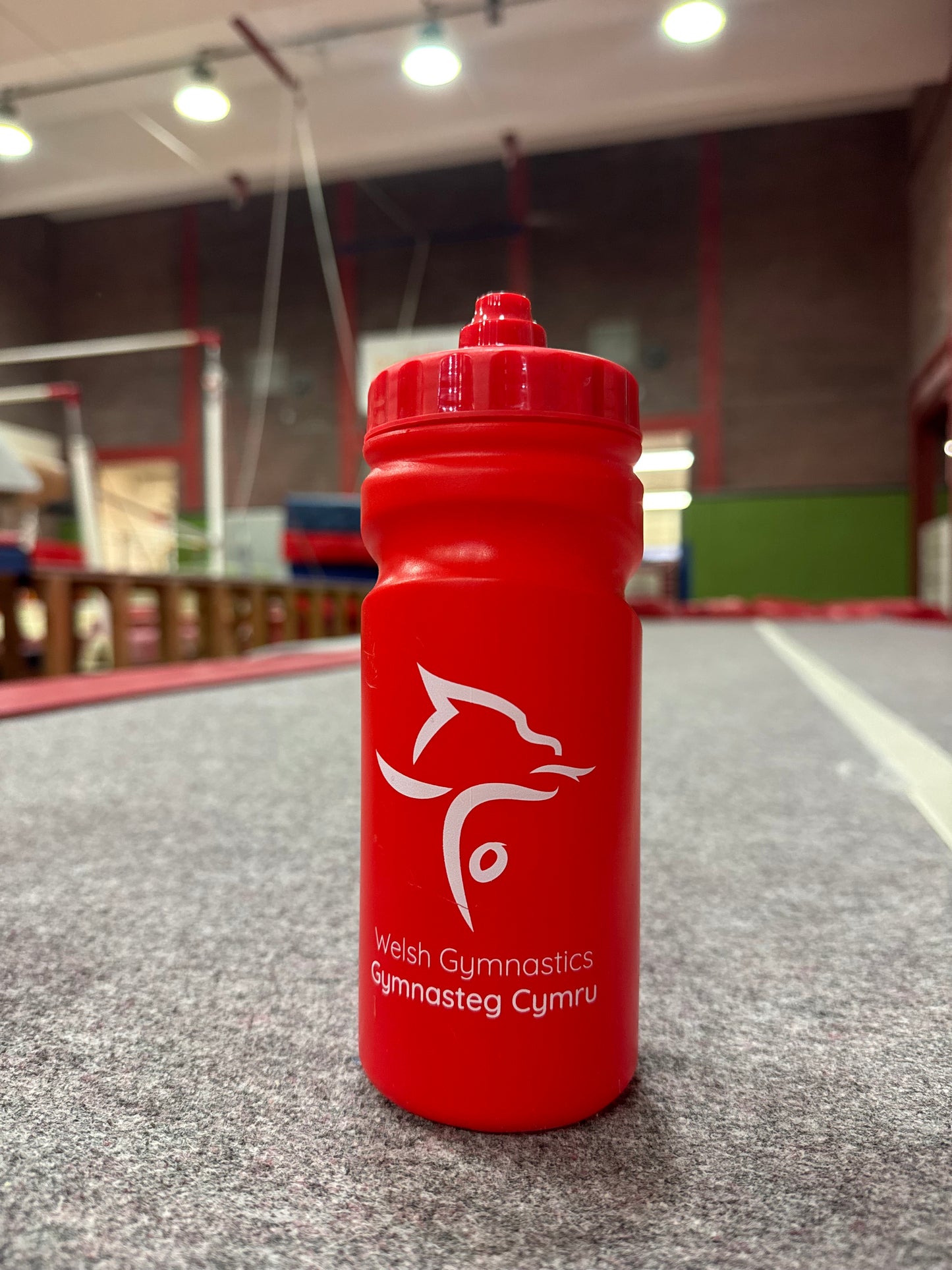 Water Bottle