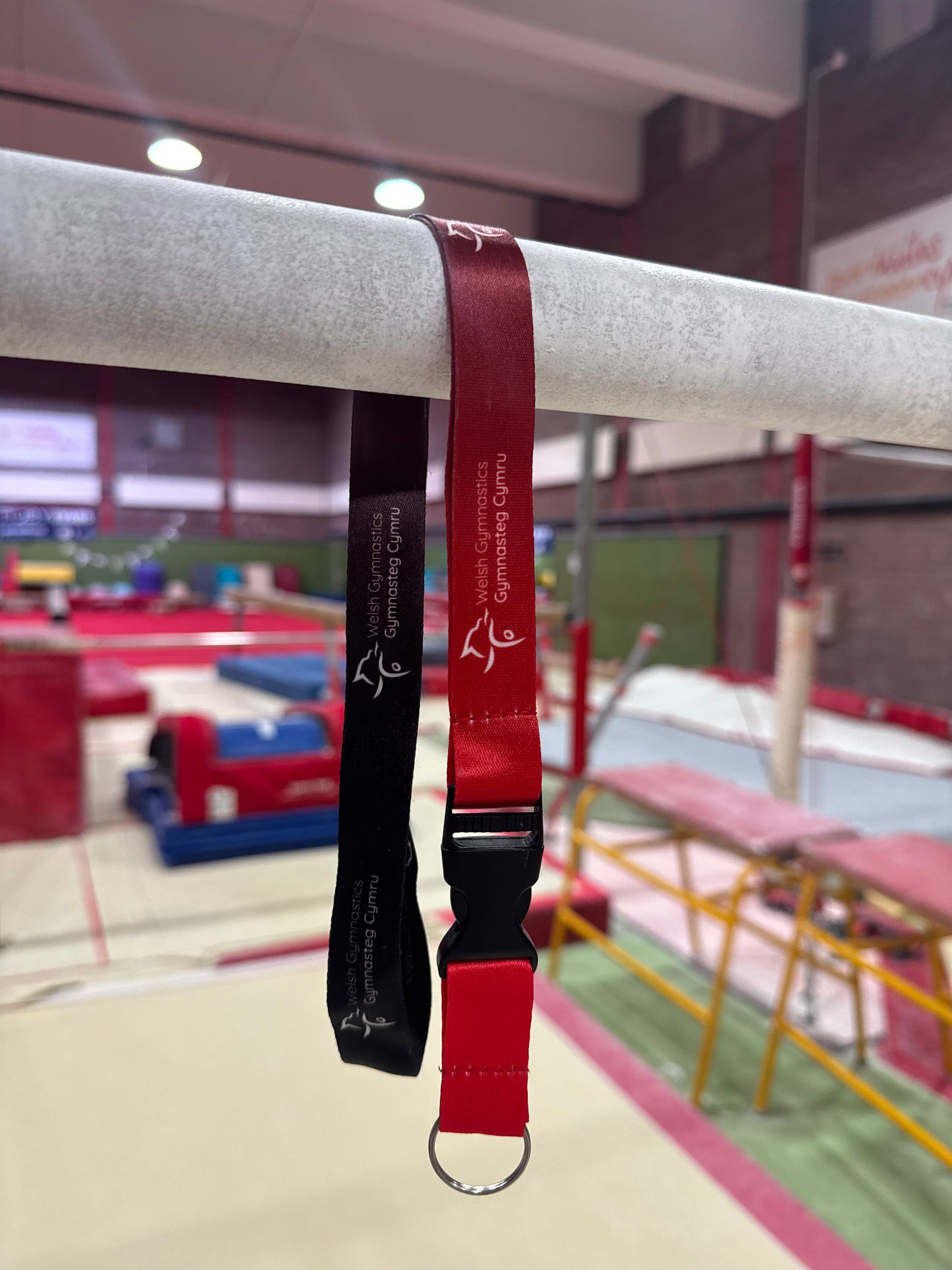 Lanyard