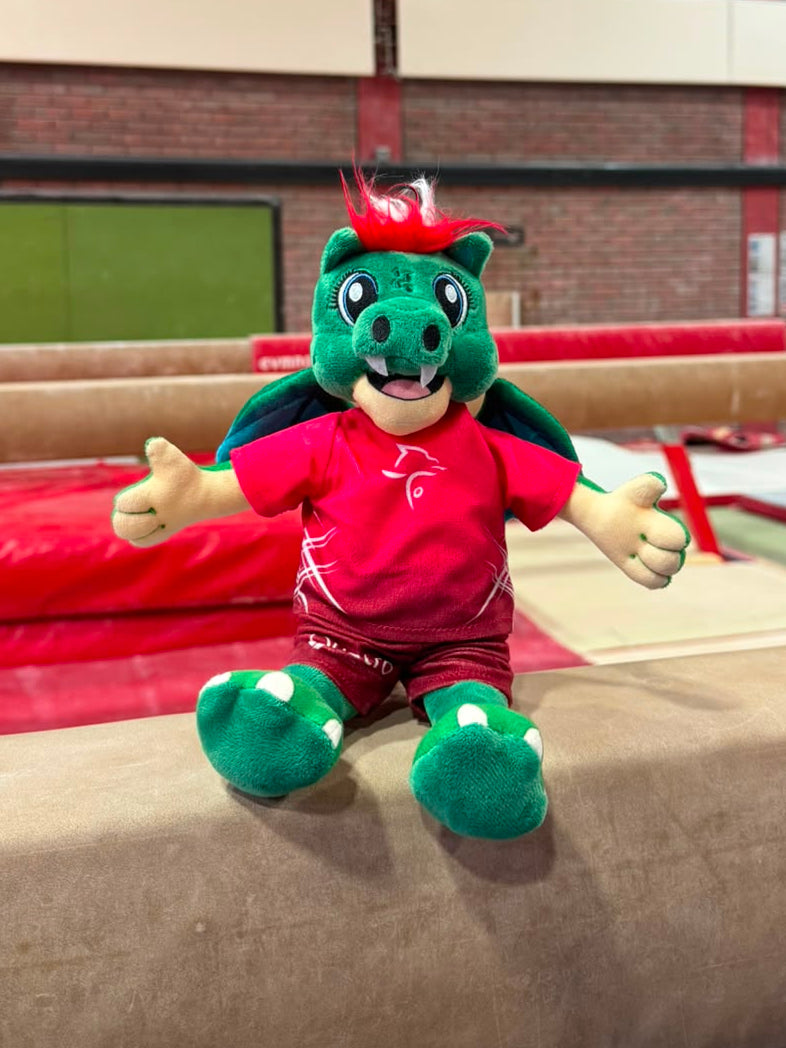 Mascot Teddy