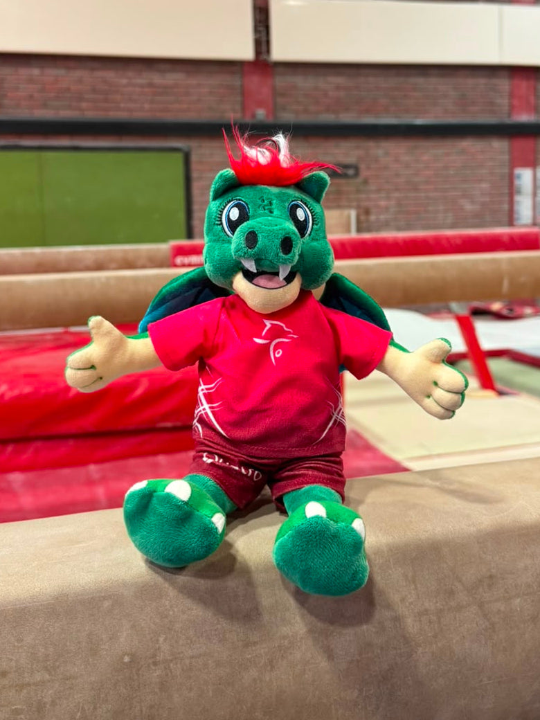 Mascot Teddy